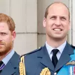 Prince Harry is not invited to Prince William's 40th birthday celebrations 