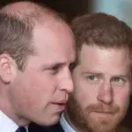 Prince Harry Prince Willam return uk