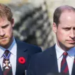 Prince Harry Prince William mourning Lord Robert Fellowes