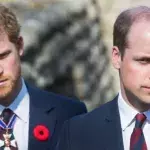 Prince Harry Prince William Royal family reunion meet brothers feud