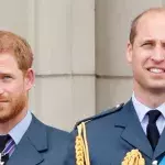 Prince Harry Princess William feud 