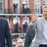 Why Prince William and Prince Harry will not meet