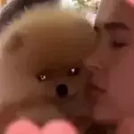 Default image