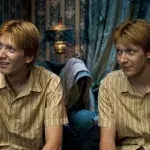 Harry Potter fans are freaking out over this theory about the Weasley Twins