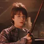 Harry Potter fans astounded as subtitles reveal what Dudley really said in this epic scene