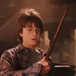  Harry Potter 