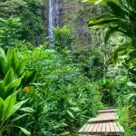 I’m A Celeb All-Stars has a new update that has made fans unhappy: ‘Already disappointed’