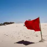 Winter Love Island: Farmer Will screams being a ‘red flag’ with this confession