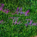 Winter Love Island: Haris Namani ‘shockingly’ gets dumped from the villa