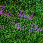 Winter Love Island: Here’s who the fans want to see as a bombshell