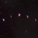 horoscope zodiac signs november