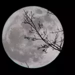 Zodiac: The 3 most difficult moon signs