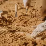 Cavers discover entirely new human species, challenges idea of linear evolution