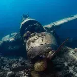Divers unravel unexpected find at the bottom of the Ocean