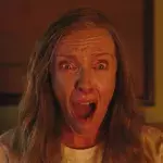 experts warn exotic jumping spiders breeding fast UK species