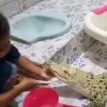 This Indonesian 4-year-old doesn't play with dolls. She prefers her crocodile!