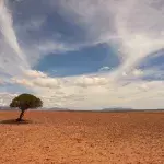 NASA reveals why 2024 could be the hottest year ever