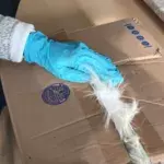 Package