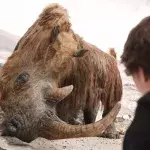 Scientists make unexpected discovery inside 14,000-year-old frozen puppy
