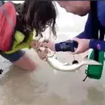 She tries to pull the shark from the water