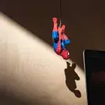 8-year-old boy lets black widow spider bite him so he can become Spiderman