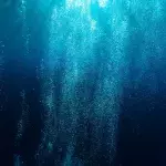 bloop mystery sound researchers explanation deep sea