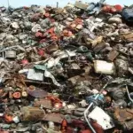 Can You See The Cat In This Photo? Not Many People Have Managed To Find It
