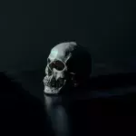 cannibalism paleolithic archeology