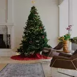 Christmas tree time dispose winter