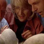 dinosaur eggs appearance discovery archeology