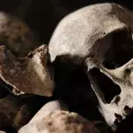 Filmmaker reveals what it's like to live with monks who eat human flesh and drink from skulls