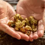 heaviest gold nugget ever discovery worth £2m