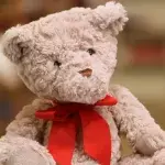 A judge in Australia grants a foster child an unusual request 