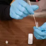 Person horrified to find slug in lateral flow test tube