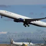 Woman breastfeeds cat on-board flight in front of passengers 