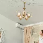woman spotted sticks in ceiling flying termites