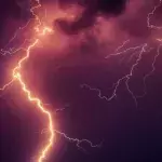 This woman was struck by lightning while walking her dog and recounts what she saw
