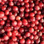 5 health benefits of eating cranberries