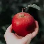 An apple a day