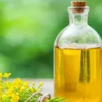Is canola oil really bad for your health? Here's what the experts have to say