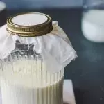 Milk kefir