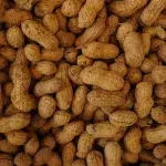 Nut allergy sufferers warned to return these products