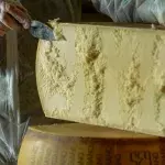 People horrified after learning where Parmesan cheese actually comes from
