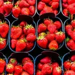 This Video of Insects Living in Strawberries Has Been Traumatising the Internet