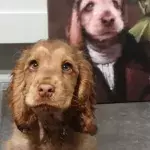 This Adorable Puppy’s Eyes Are All The Buzz On The Web