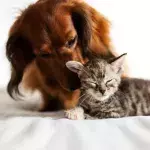 A beautiful friendship