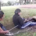 In China, a woman rescued two puppies and returned them to their panicked mother.