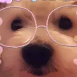 Default image