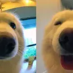 Default image