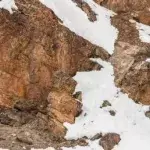 Default image